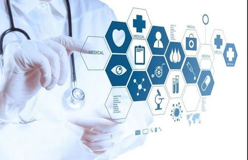 貓九視角 洞察大健康產業發展趨勢，賦能信息咨詢服務新篇章