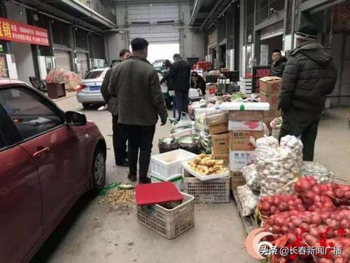 長春市多措并舉保障市民“菜籃子”供應與新鮮水果零售穩(wěn)定